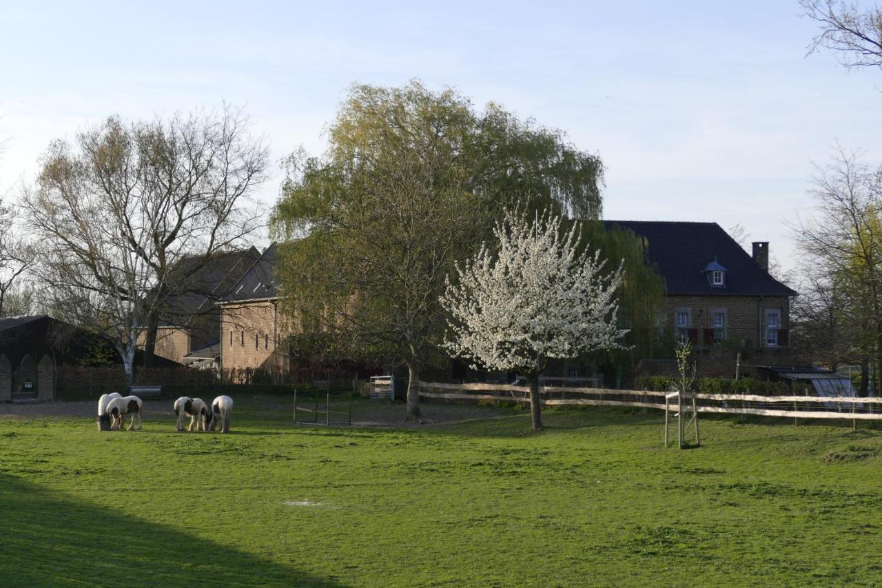 Meschermolen Eksteriør billede