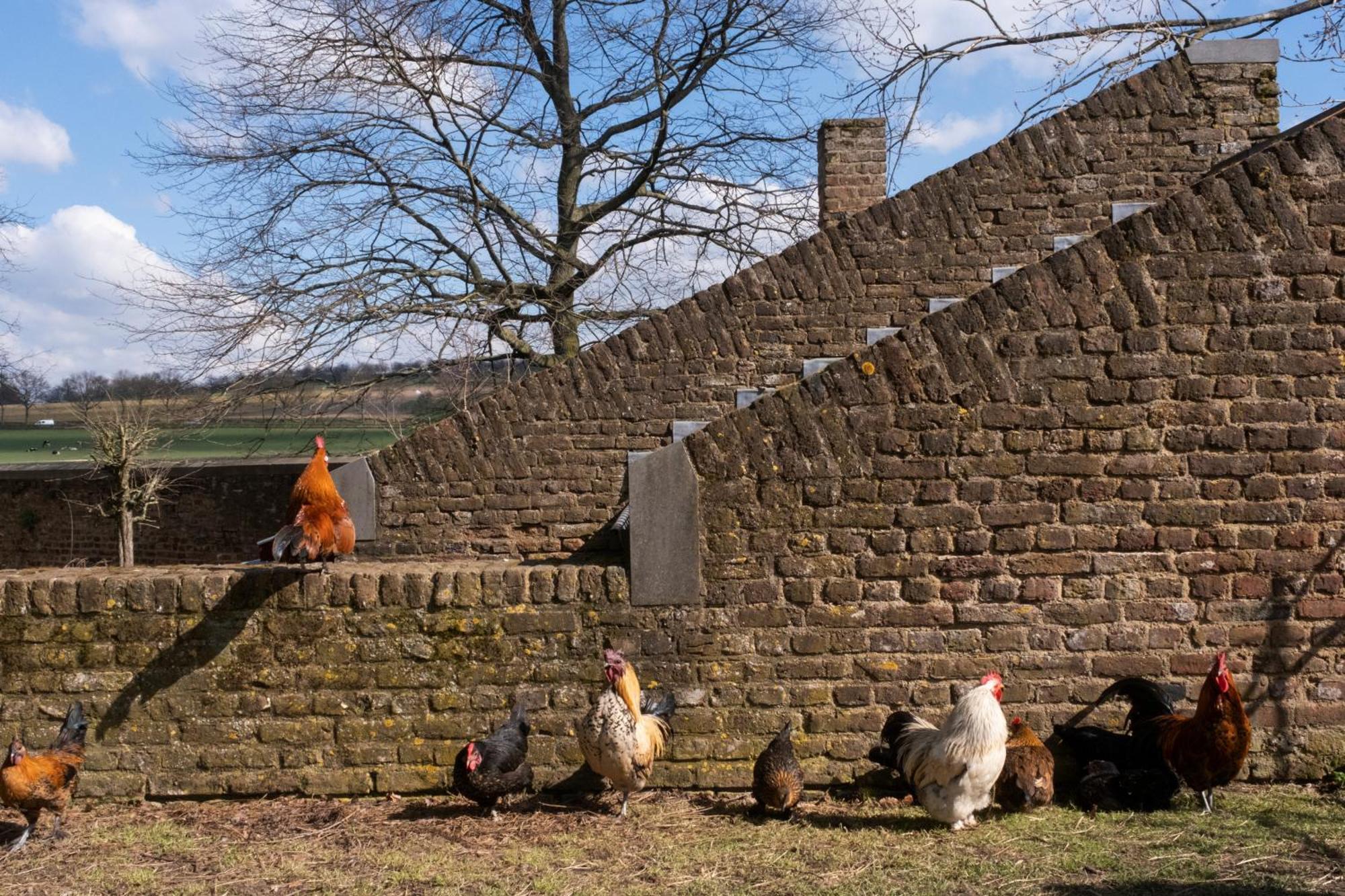 Meschermolen Eksteriør billede